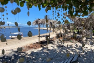 From Salvador: Morro de São Paulo Paradise Island Daytrip