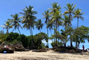 From Salvador: Morro de São Paulo Paradise Island Daytrip