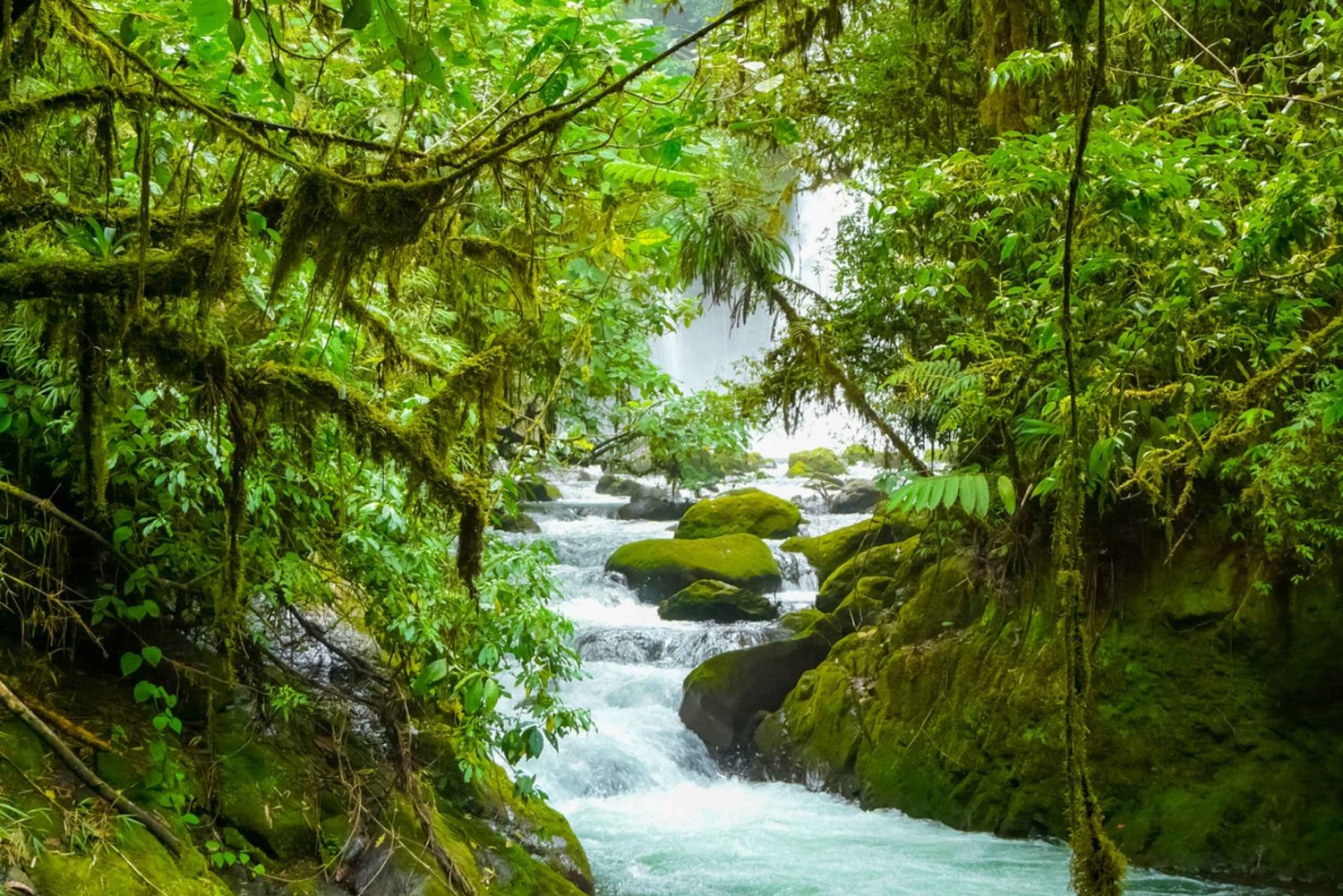 De San Jose: Jardim da Cachoeira de La Paz e Excursão pela Floresta Tropical
