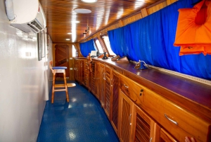 From Santarém: Boat Trip to Belém of Pará with Transfer
