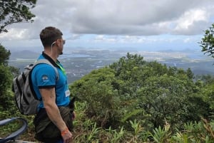 Z São Paulo: Prywatna wycieczka po lasach i dolinach Atlantyku