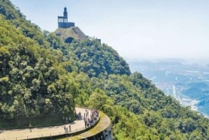 Z São Paulo: Prywatna wycieczka po lasach i dolinach Atlantyku