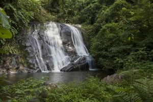 Z São Paulo: Prywatna wycieczka po lasach i dolinach Atlantyku