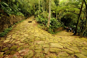Z São Paulo: Prywatna wycieczka po lasach i dolinach Atlantyku