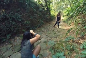 Z São Paulo: Prywatna wycieczka po lasach i dolinach Atlantyku