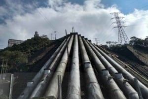 Z São Paulo: Prywatna wycieczka po lasach i dolinach Atlantyku