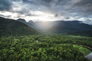 Z São Paulo: Prywatna wycieczka po lasach i dolinach Atlantyku