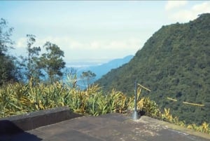 Z São Paulo: Prywatna wycieczka po lasach i dolinach Atlantyku