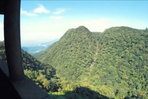 Z São Paulo: Prywatna wycieczka po lasach i dolinach Atlantyku