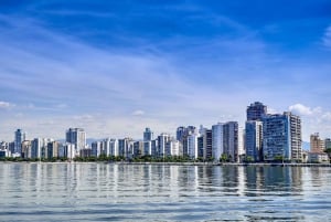 Desde São Paulo: tour privado de día completo a Santos y Guarujá
