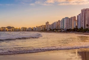 Desde São Paulo: tour privado de día completo a Santos y Guarujá