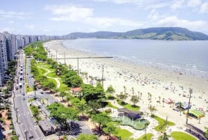 Desde São Paulo: tour privado de día completo a Santos y Guarujá