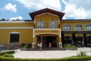 From São Paulo: São Roque Wineries Route and Shopping Tour