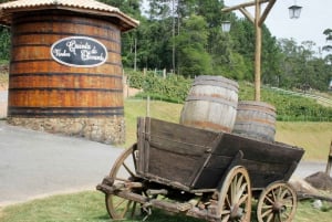 From São Paulo: São Roque Wineries Route and Shopping Tour