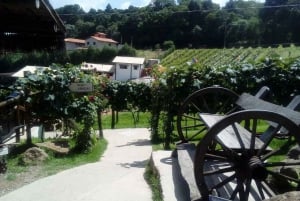 From São Paulo: São Roque Wineries Route and Shopping Tour