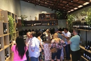 From São Paulo: São Roque Wineries Route and Shopping Tour