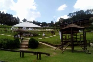 From São Paulo: São Roque Wineries Route and Shopping Tour