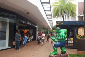 From São Paulo: São Roque Wineries Route and Shopping Tour