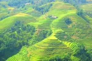 Da Sapa: tour tra cascate, trekking e villaggi tribali