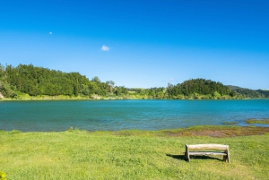 Full Day: Furnas, Tea Plantations & More With Lunch
