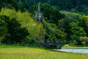 Full Day: Furnas, Tea Plantations & More With Lunch