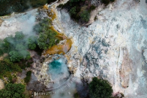 Full Day: Furnas, Tea Plantations & More With Lunch