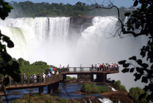 Full Day Iguassu Falls Both Sides - Brazil and Argentina