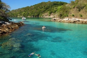 Full tour departing from Angra, with lunch