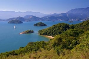 Full tour departing from Angra, with lunch