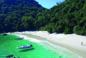 Full tour departing from Angra, with lunch