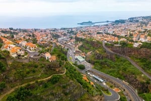Funchal: Botaniska trädgården och rundtur i Gamla stan med TukTuk (1h45)