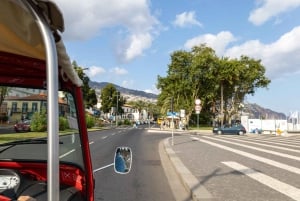 Funchal: Botaniska trädgården och rundtur i Gamla stan med TukTuk (1h45)