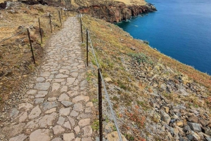 Funchal: Trasferimento a Caniçal per l'escursione PR8 di São Lourenco