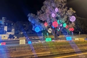 Funchal: tour panoramico notturno delle luci di Natale