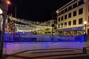 Funchal: tour panoramico notturno delle luci di Natale