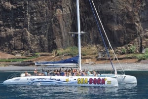 Funchal: Delfin- und Whale-Watching-Katamaranfahrt
