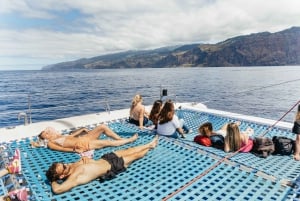 Funchal: Delfin- und Whale-Watching-Katamaranfahrt