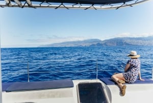 Funchal: Delfin- und Whale-Watching-Katamaranfahrt