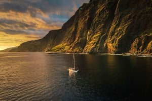 Funchal: Passeio de barco ao pôr do sol para observação de golfinhos e baleias