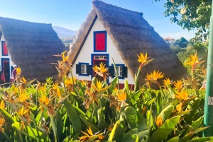 Funchal: Familientour auf der Insel Madeira