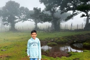 Funchal: Familientour auf der Insel Madeira