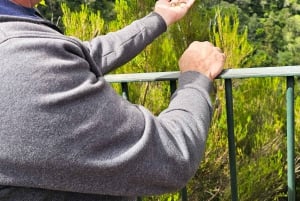 Funchal: Familientour auf der Insel Madeira