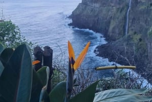 Funchal: Familientour auf der Insel Madeira