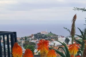 Funchal: Familientour auf der Insel Madeira