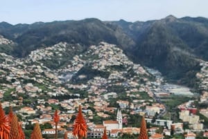 Funchal: Familientour auf der Insel Madeira
