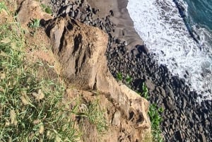 Funchal: Familientour auf der Insel Madeira