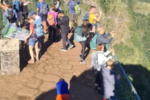 Funchal: Familientour auf der Insel Madeira