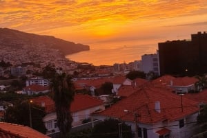 Funchal: Familientour auf der Insel Madeira