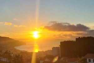 Funchal: Familientour auf der Insel Madeira