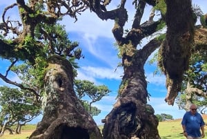 Funchal: Familientour auf der Insel Madeira